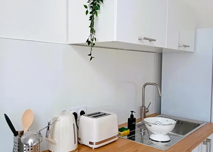 102 - Rénové Avec Grand Salon Et 1 - Tram Et Clinique Mutualiste à 1 Min Appartement Grenoble