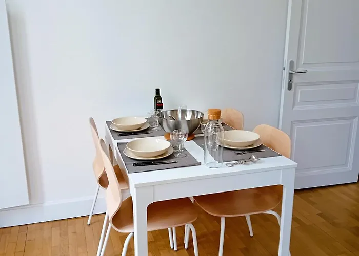 102 - Rénové Avec Grand Salon Et 1 - Tram Et Clinique Mutualiste à 1 Min Appartement *
